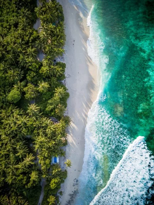 EVERYTHING YOU NEED TO KNOW ABOUT GOING DIVING IN FUVAHMULAH